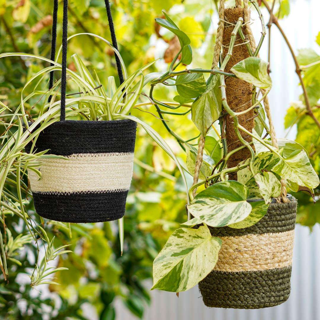 Plant Hanger -Zebra