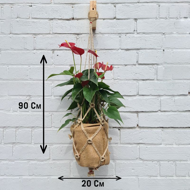 Criss Cross Jute Macrame Plant Hanger - Indoor & Outdoor - Plant Pot Holder - Minimalist Wall Art Decor - Decorative Hanging Basket