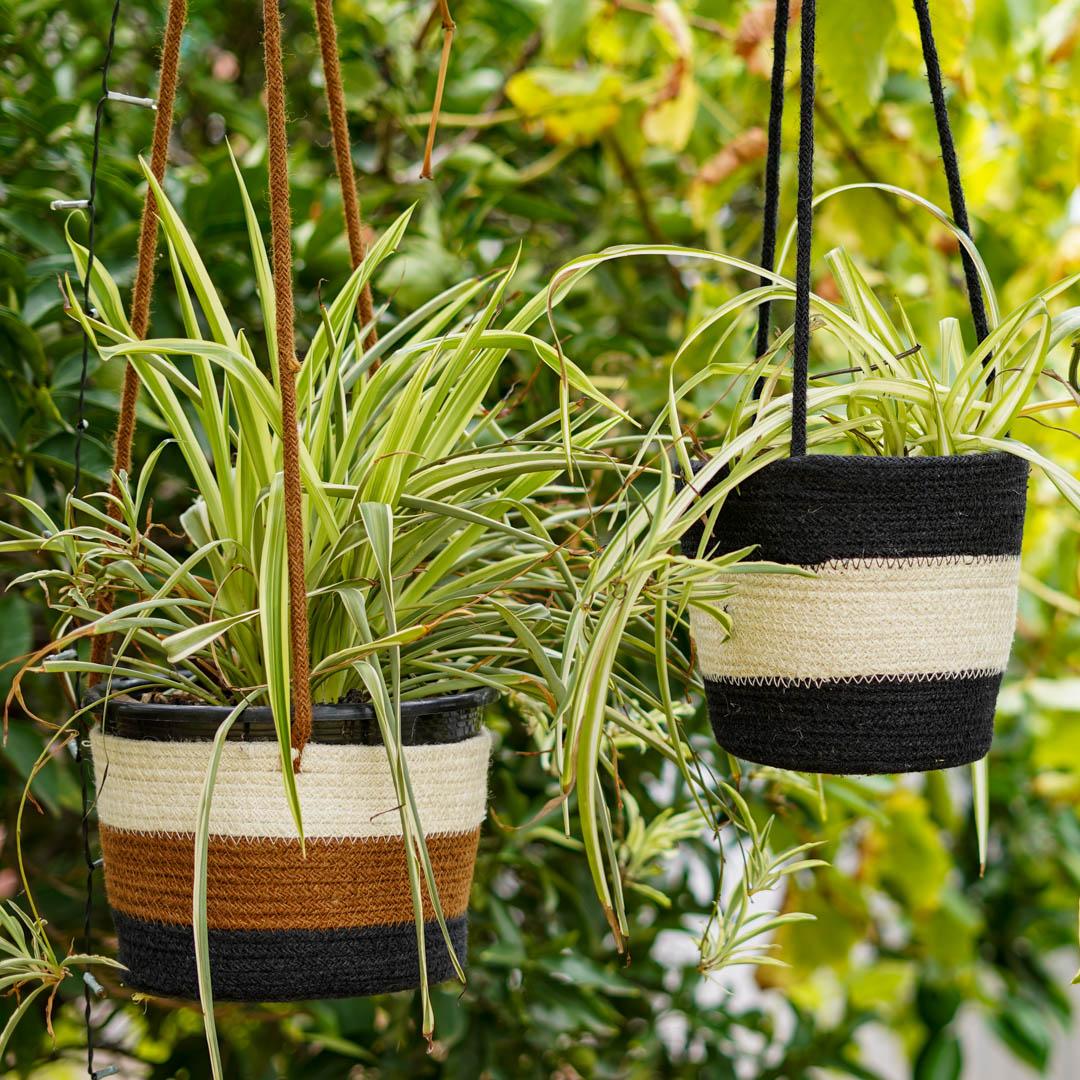 Plant Hanger -Zebra
