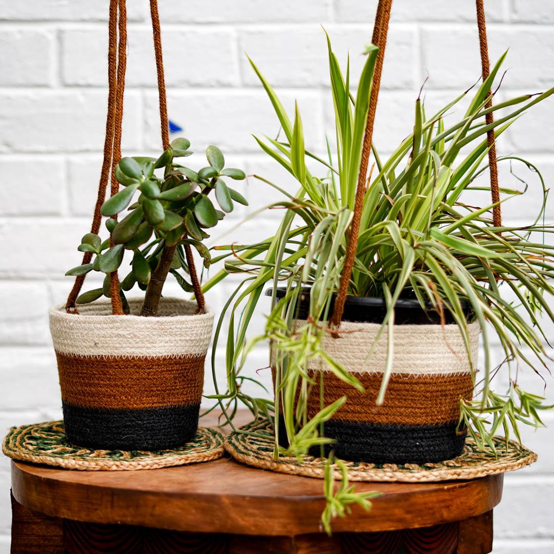 Plant Hanger - Sandy Range