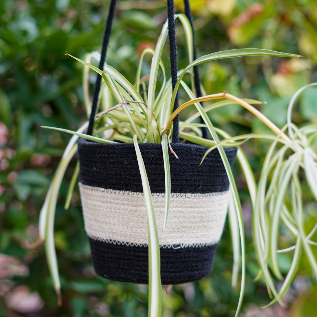 Plant Hanger -Zebra