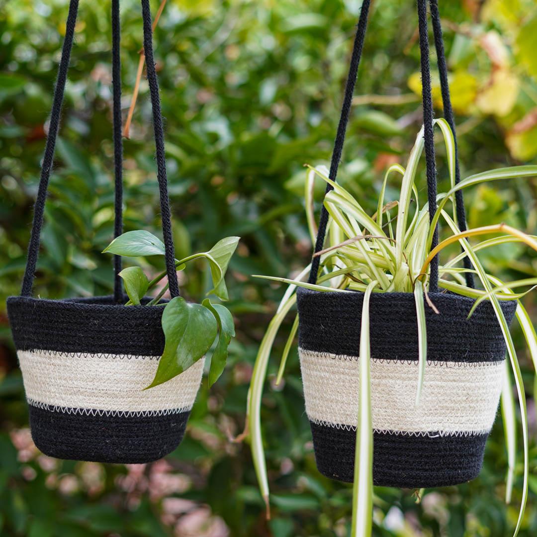 Plant Hanger -Zebra